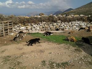 Amorgos opvangcentrum