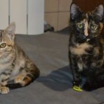 Pinky & Alina